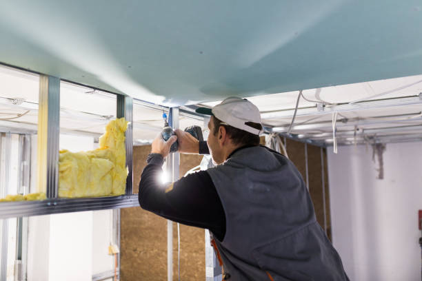 Best Insulation Installation Services in Kitty Hawk, NC